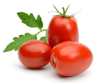 POMODORO OBLUNGO ROSSO