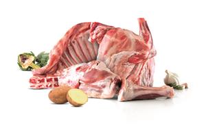 AGNELLO META  C/TESTA E CORATA