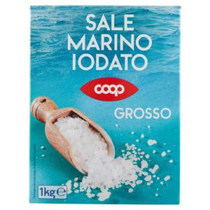 Sale Marino Iodato Grosso 1 kg