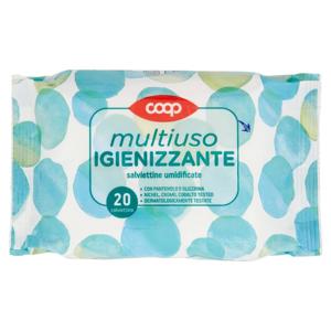 multiuso Igienizzante salviettine umidificate 20 pz