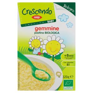 pastina gemmine Biologica 320 g