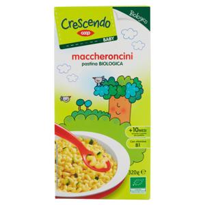 pastina maccheroncini Biologica 320 g