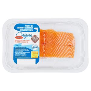 filetto di salmone scozzese allevato fresco 250 g