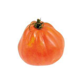 Pomodori cuore di bue