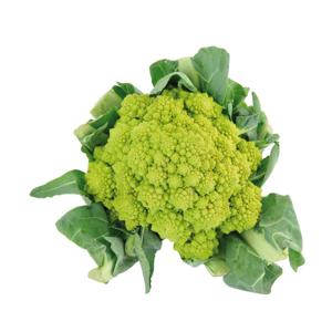 Cavolfiore romanesco