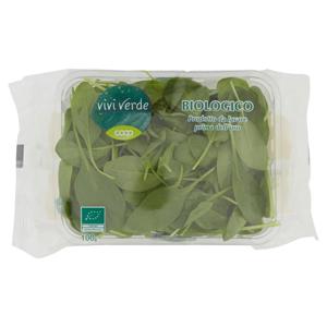 Spinacino Bio 100 g