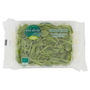 Rucola Bio 100 g