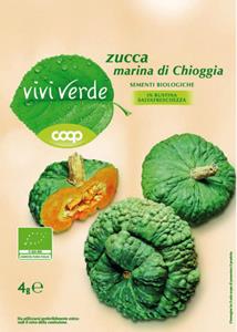 Sementi Bio Zucca Marina di Chioggia 4g