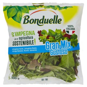 Bonduelle Gran Mix Gustoso 100 g