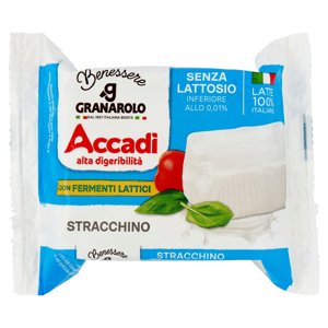 Accadì Benessere Stracchino Senza Lattosio 100 g