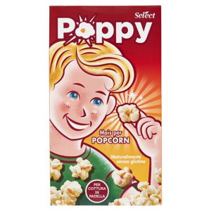 SELECT POP CORN MAIS GR.250