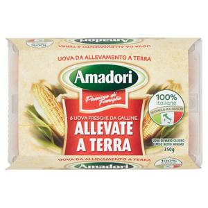 AMADORI UOVA FR/ALLEV.TERRA X6