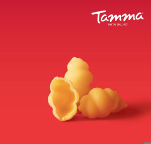 TAMMA F.N.19 GNOCCHI GR.500