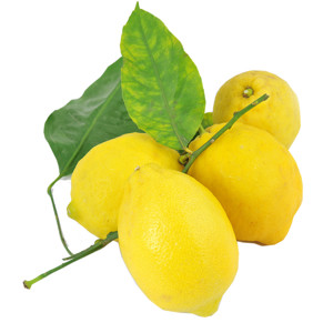 LIMONI FOGLIA ITALIA