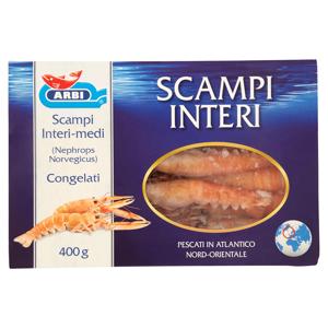 ARBI SCAMPI 21/30 INTERI GR.400