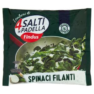 FINDUS SPINACI FILANTI GR.450