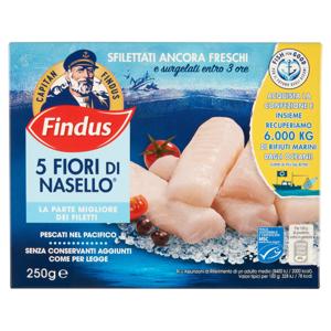 FINDUS FIORI NASELLO GR.250