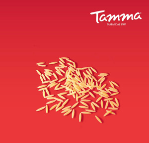 TAMMA F.N.65 ORZO GR.500