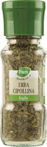 ERBA CIPOLLINA FOGLIE