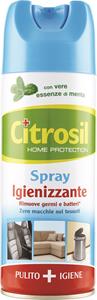 DETERGENTE DISINFETTANTE MENTA SPRAY 300ML