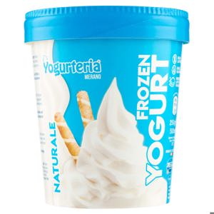 FROZEN YOGURT NATURALE SENZA LATTOSIO