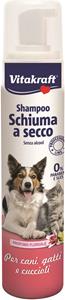 SHAMPOO A SECCO SPRAY