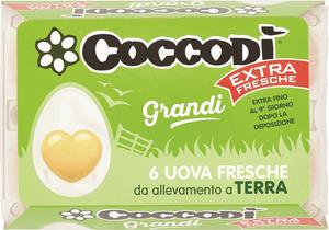 6 UOVA COCCODI FR. EXTRA  FLESCIATI TERRA