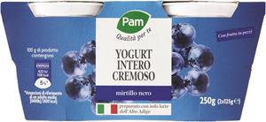 2 YOGURT CREMOSO MIRTILLO