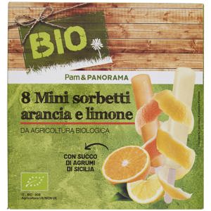 MINI SORBETTI ARANCIA E LIMONE BIO X8