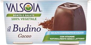 BUDINI EXTRA CALCIO CACAO