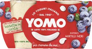 YOGURT INTERO MIRTILLI