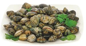 VONGOLE VERACI GRANDI 0,5 KG