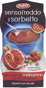 SENDO FREDDO SORBETTO 2  PORZIONI DA 100 ML GUSTO MELOGRANO E FRUTTI DI BOSCO