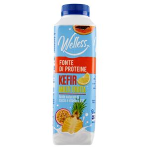 Welless Kefir Multi Frutta 480 g