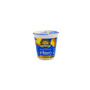 Yogurt intero ananas, banana 150 gr-ananas