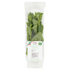 Gli Aromi di Armando Menta 30 g