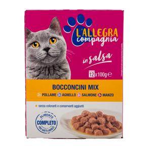 Buste gatto salsa in gelatina 12 x 100 gr