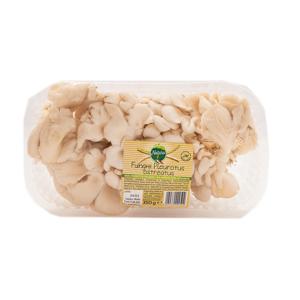 Funghi pleurotus 300Gr