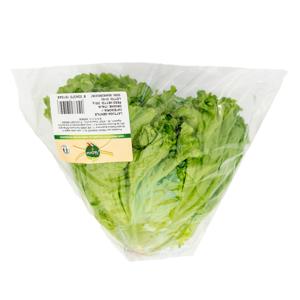 Insalata gentile cat.II al pz 150 gr