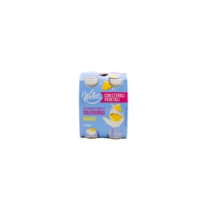 Yogurt riduci colesterolo assortito 100grx4-ananas