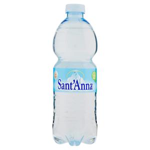 Sant'Anna Naturale Sorgente Rebruant Vinadio 0,5 L