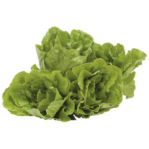 Insalata romana cat.II al pz 150 gr