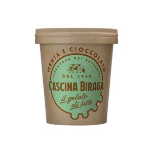 Gelato menta e cioccolato