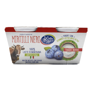 Yogurt intero ai mirtilli neri