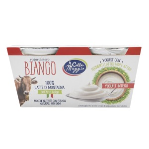 Yogurt intero bianco