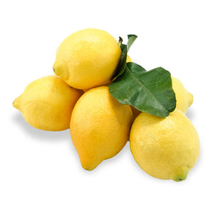 LIMONI FOGLIA  ITALIA  I CAT