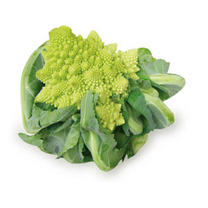 BROCCOLO ROMANESCO ITALIA CAT I