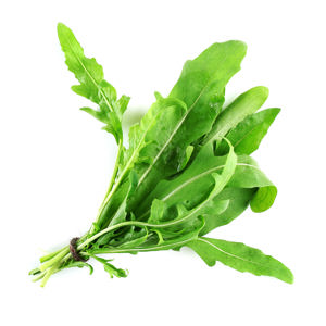 RUCOLA SELVATICA A MAZZO I CT ITALI